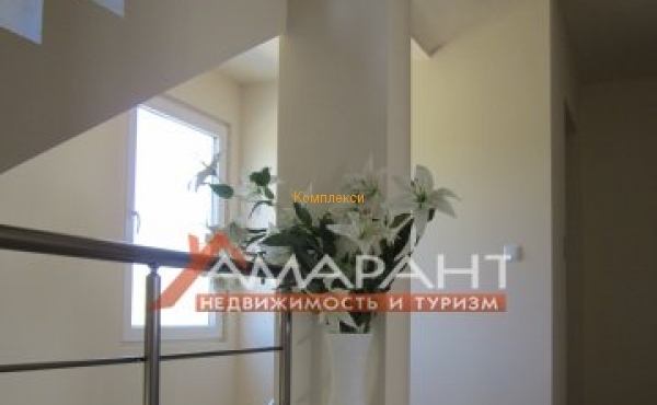 ea_IMG_1012_JPG