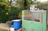 ea_DSCN2522