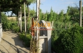ea_DSCN1155
