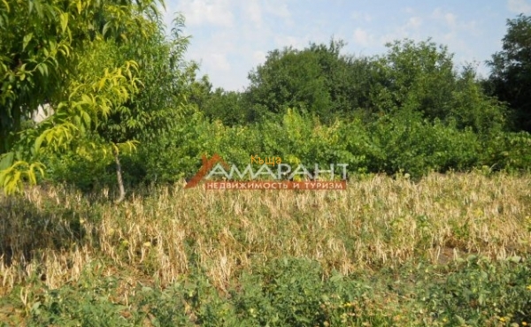 ea_DSCN1541