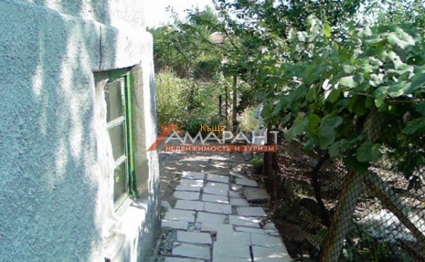 ea_Photo_0018
