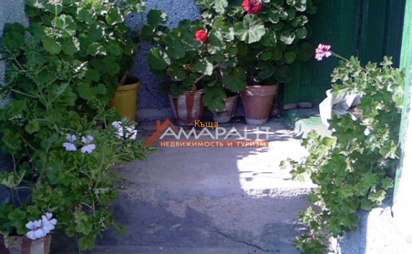 ea_Photo_0022_732289783