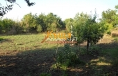 ea_12_14454877